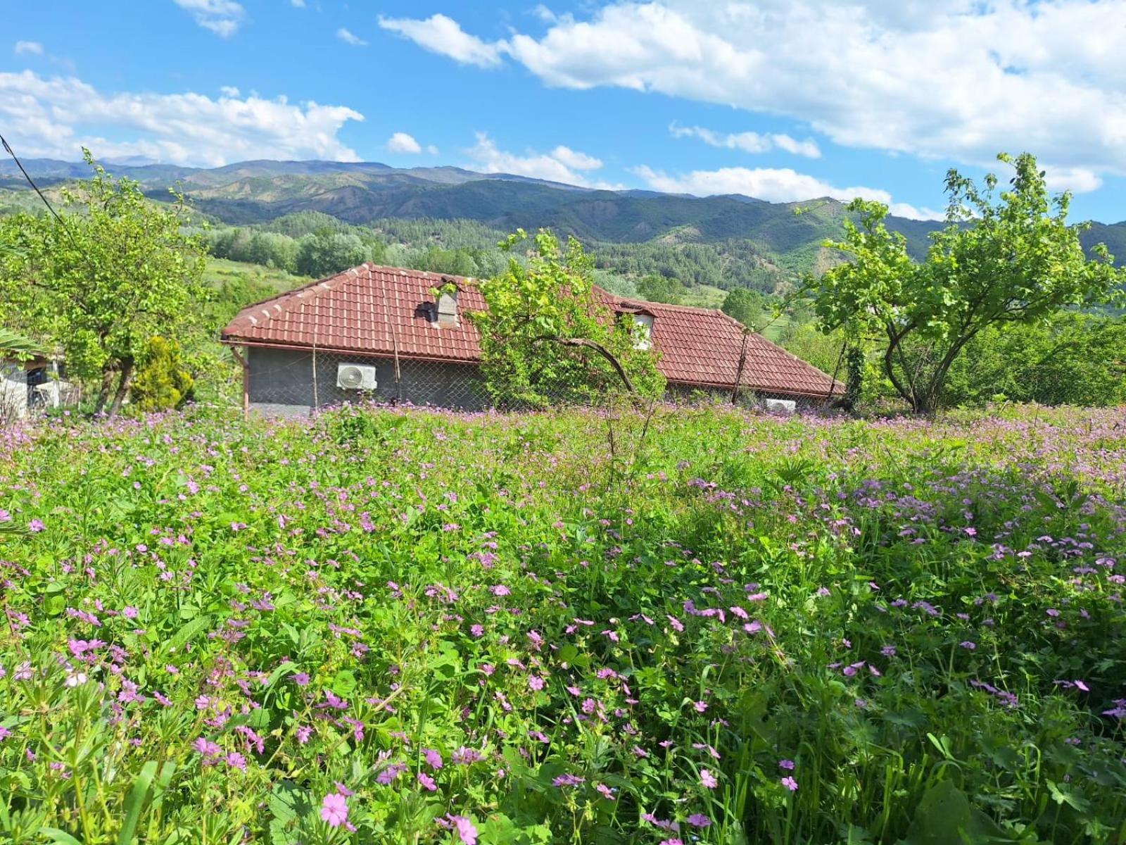 Spring Village Home Përmet Extérieur photo